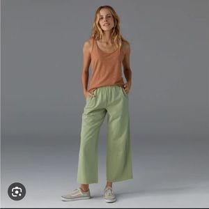 Patagonia Regenerative Organic Pant